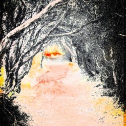 the Watcher